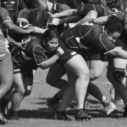 Berkeley rugby