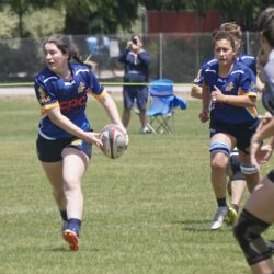 Berkeley Rugby