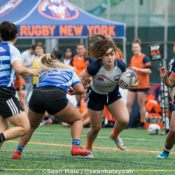 New York rugby