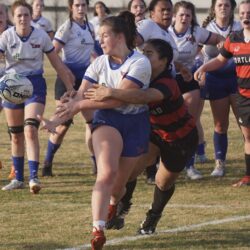 Lee Univ rugby