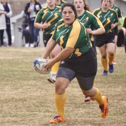 Northern Michigan rugby