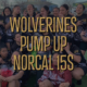 Wolverines rugby