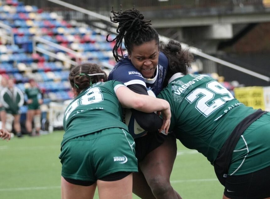 NCR All-Star 15s rugby