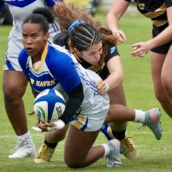 New Haven rugby 2026
