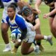 New Haven rugby 2026